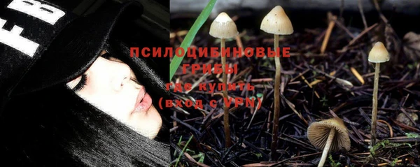 спиды Балахна